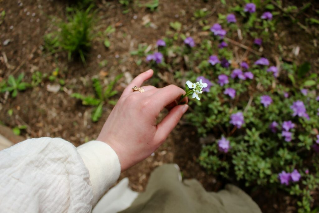 A hand gently holds a white flower.