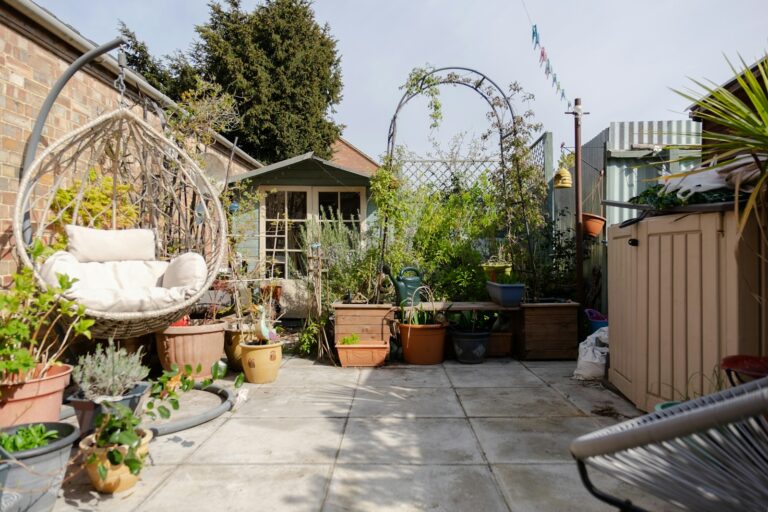 a back yard with lots of potted plants
