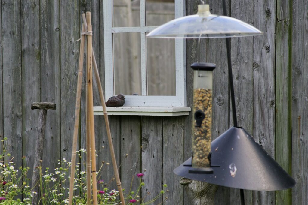 a bird in a bird feeder