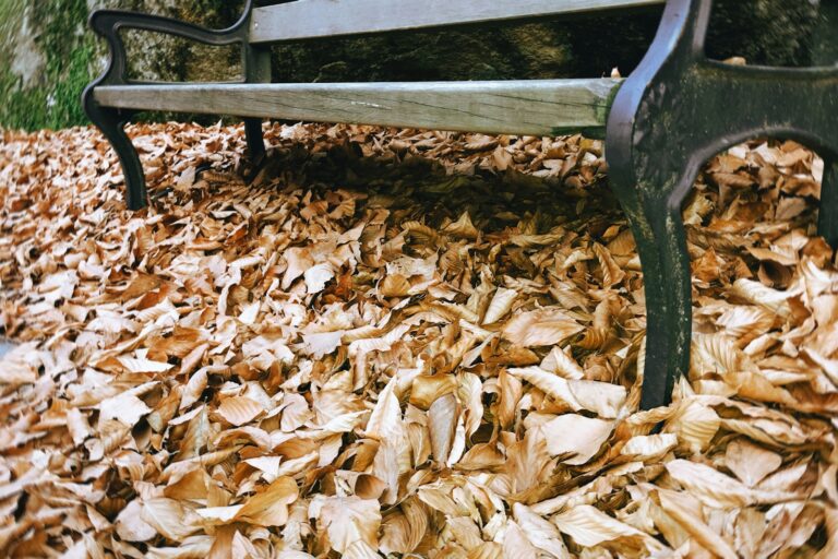 a park bench sitting on top of a pile of leaves