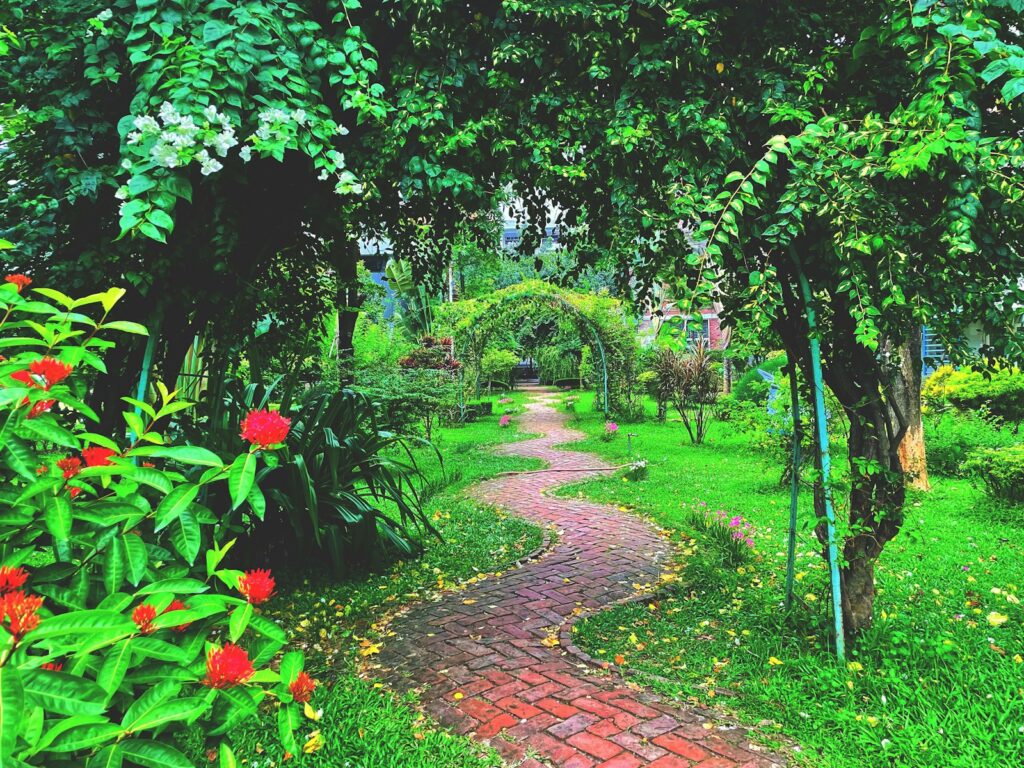 a brick path through a lush green garden