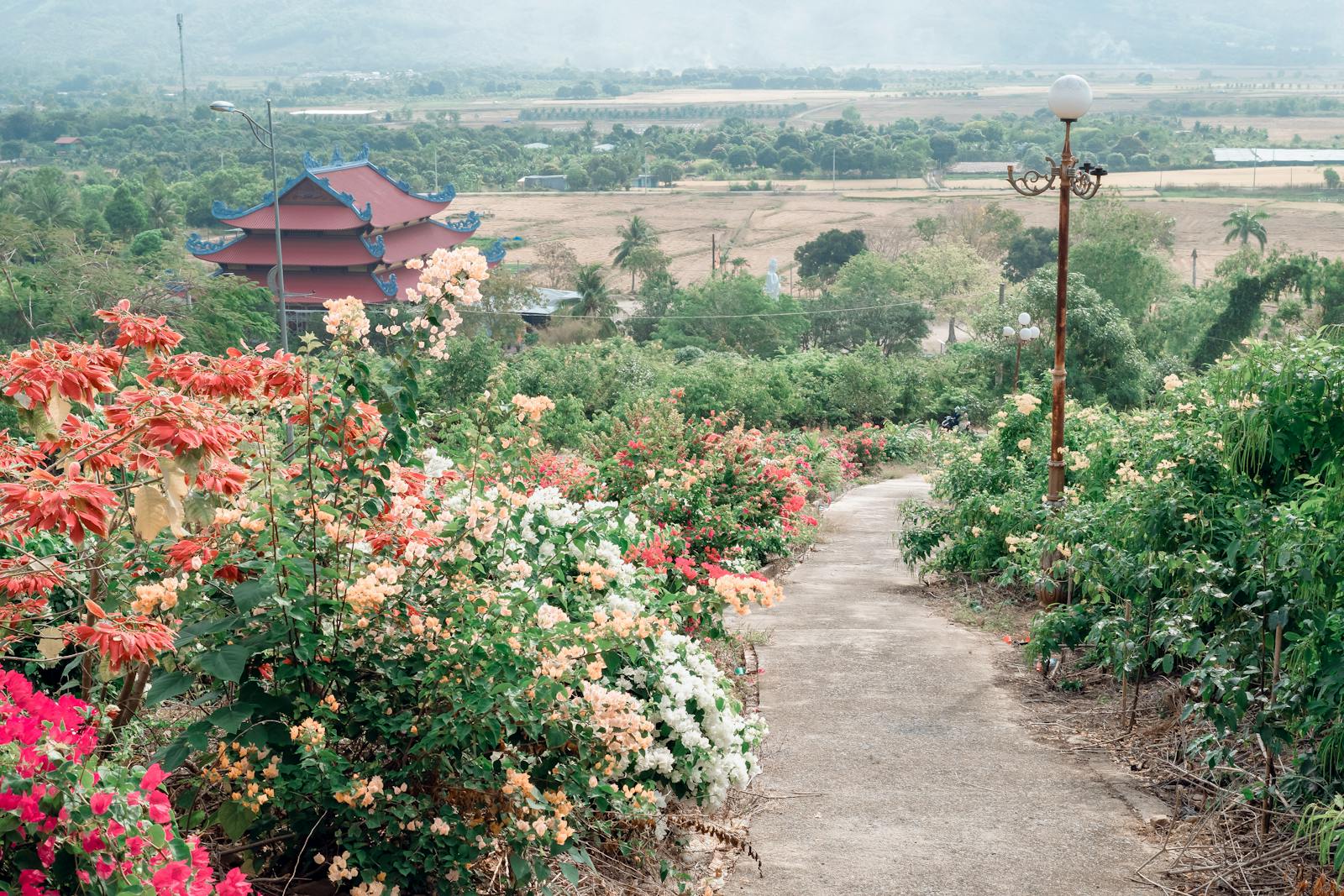 A picturesque rural pathway lined with colorful flowers and a traditional pagoda in the distance.