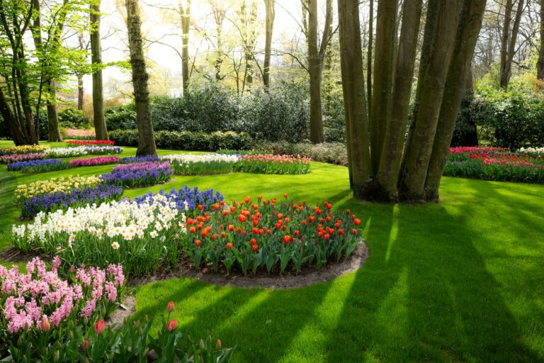 Colorful flower beds in a lush green park