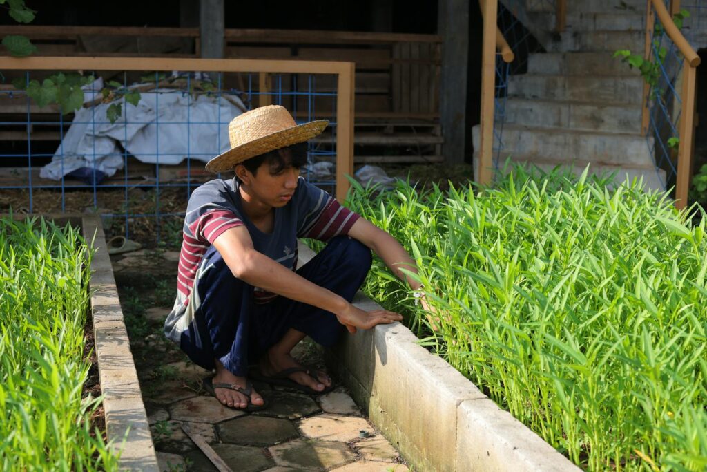 A young farmer wearing a straw hat tending to lush green plants in an outdoor garden.