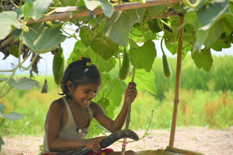 The Gardening Rule Everyone Followed for Years That’s Now Being Questioned Sparks Fresh Excitement and Debate