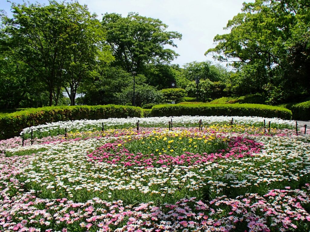 A colorful flower bed in a beautiful garden.