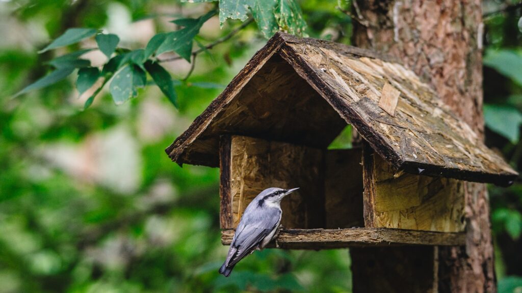 a bird sitting on a birdhouse