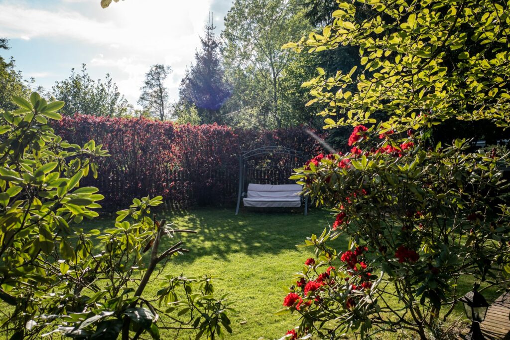 green grass field with red flowers and trees