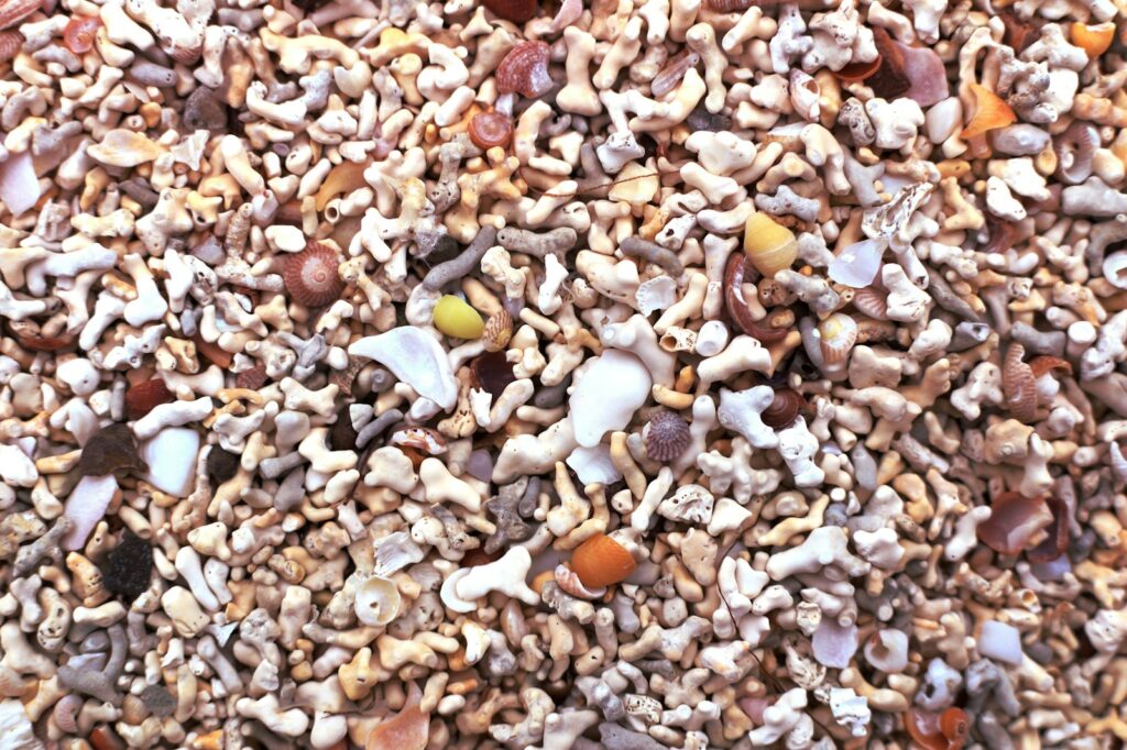 a close up of a pile of small rocks