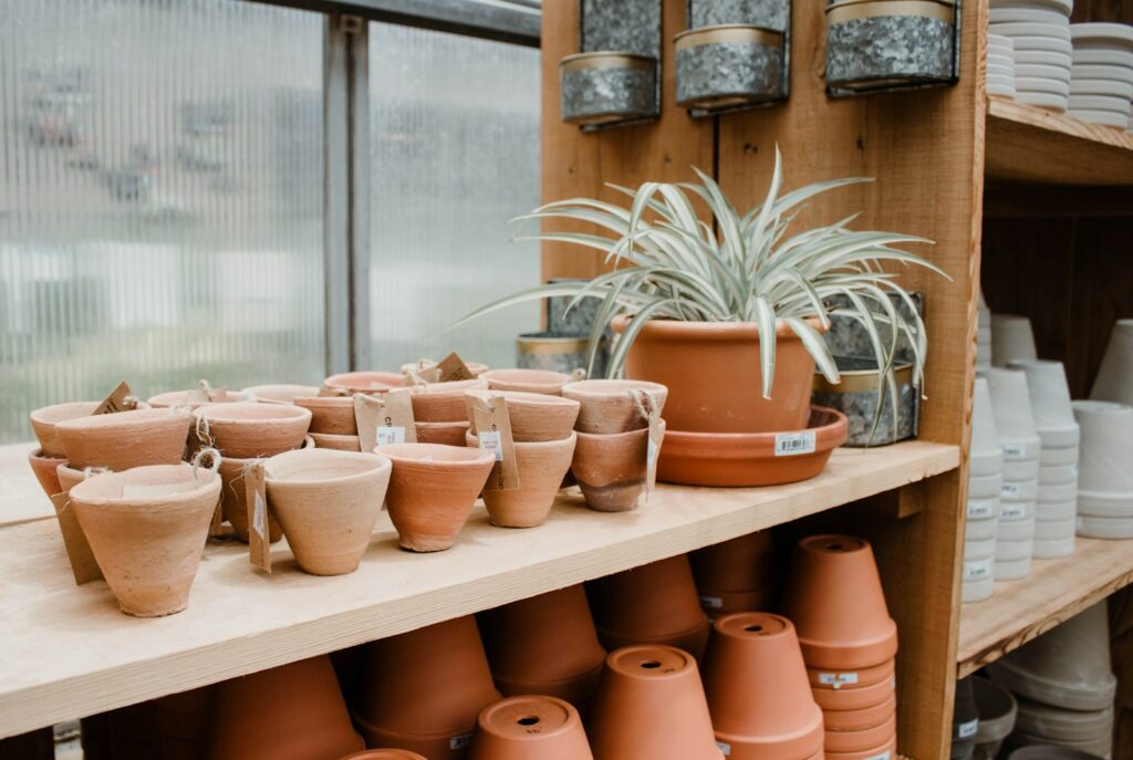 brown clay flowerpots on wooden shelves