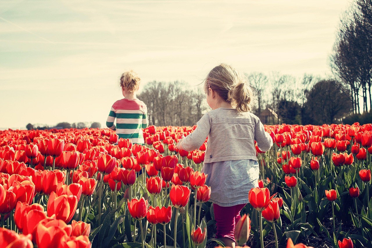 girls, children, tulips, red tulips, flower background, flower wallpaper, tulip garden, netherlands, spring, nature, holland, bloom, plants, flowers, garden, beautiful flowers, blossom, tulip field, sisters