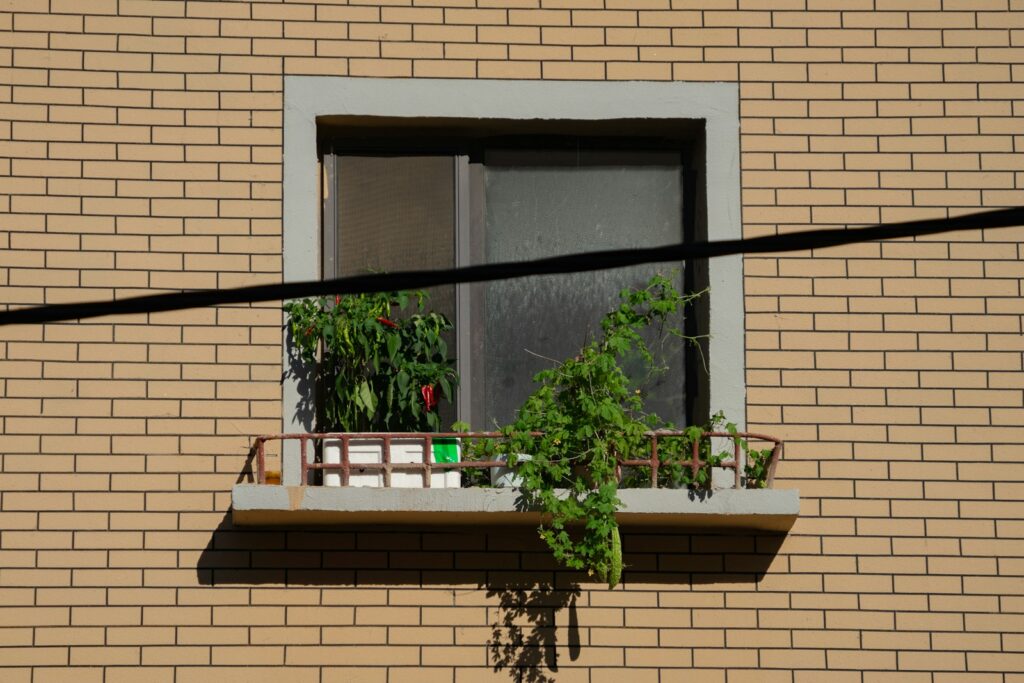 a brick building with a window and a plant growing out of it