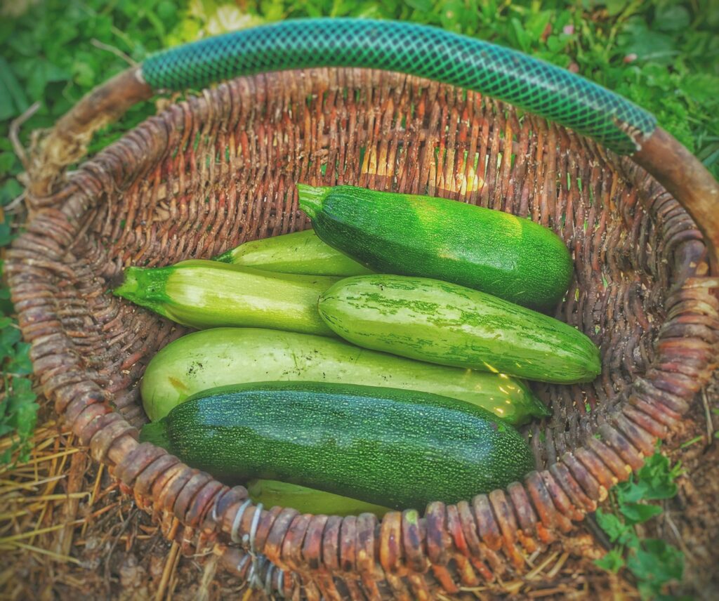 green cucumbers on round brown wicker basket