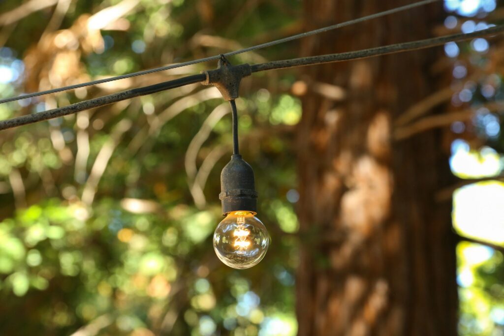 a light bulb hanging from a wire next to a tree