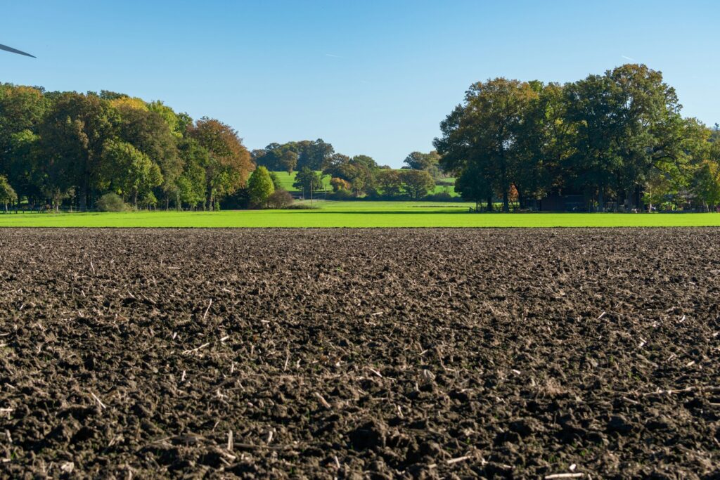 Plowed field with green grass and trees