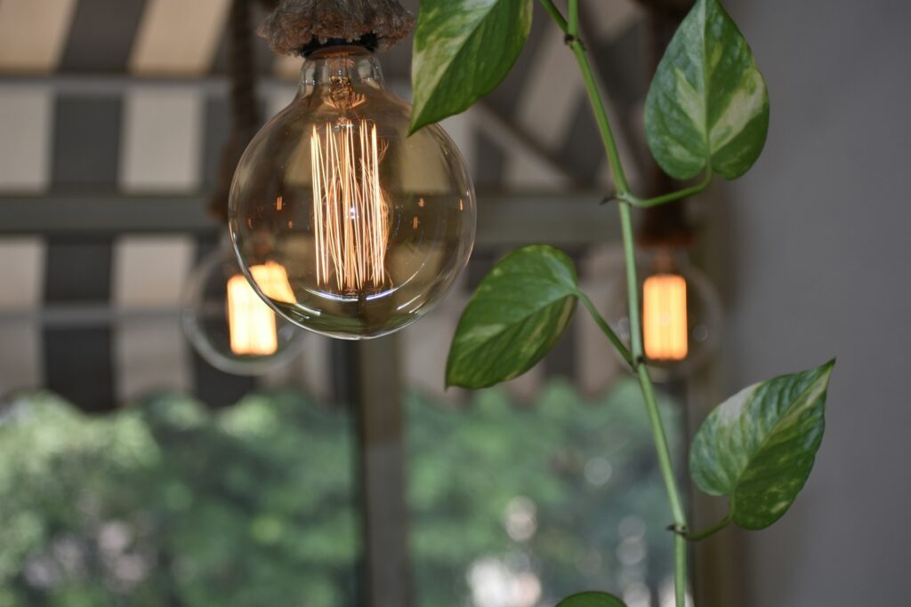 a light bulb hanging from a ceiling next to a plant