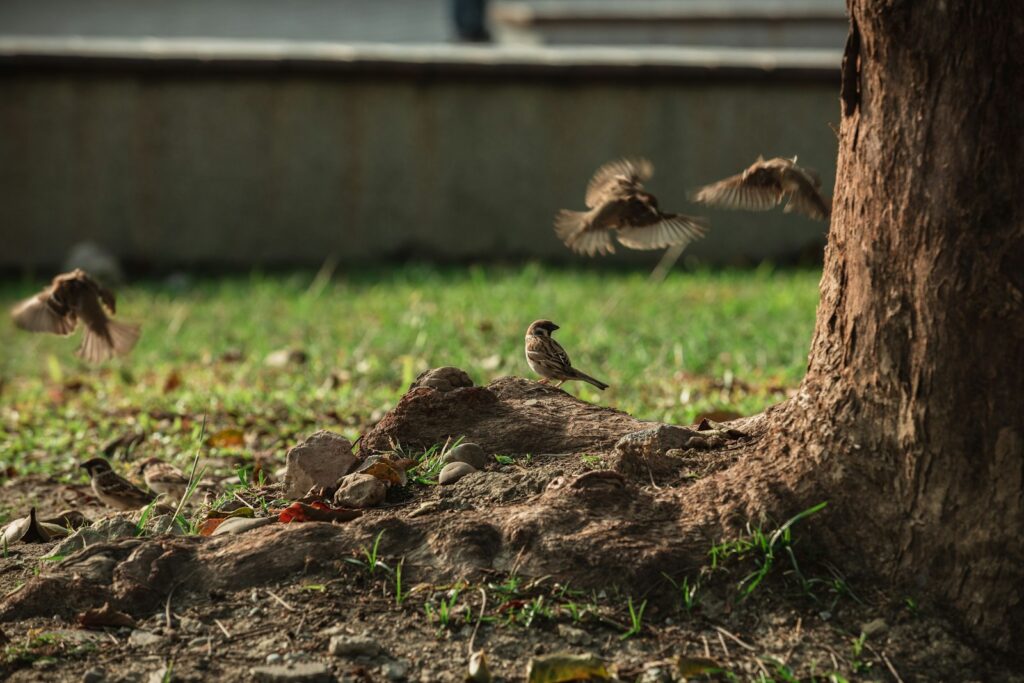 A flock of birds flying around a tree
