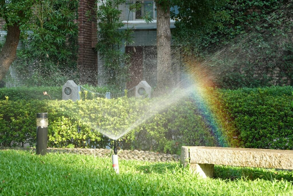 A rainbow forms in the sprinkler's water.