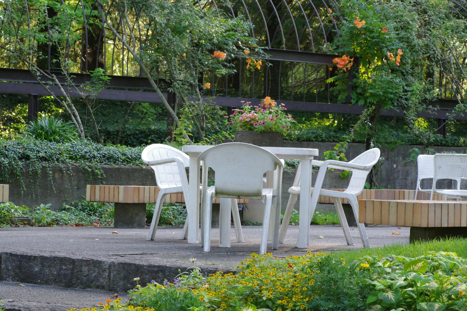 A group of white chairs sitting on top of a lush green field