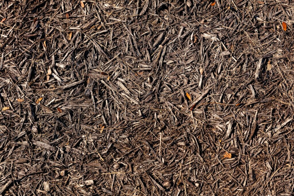 brown dried leaves on ground