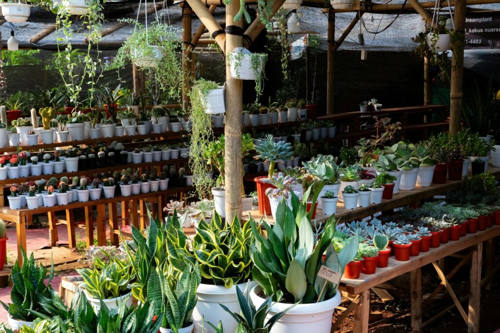 A room filled with lots of potted plants