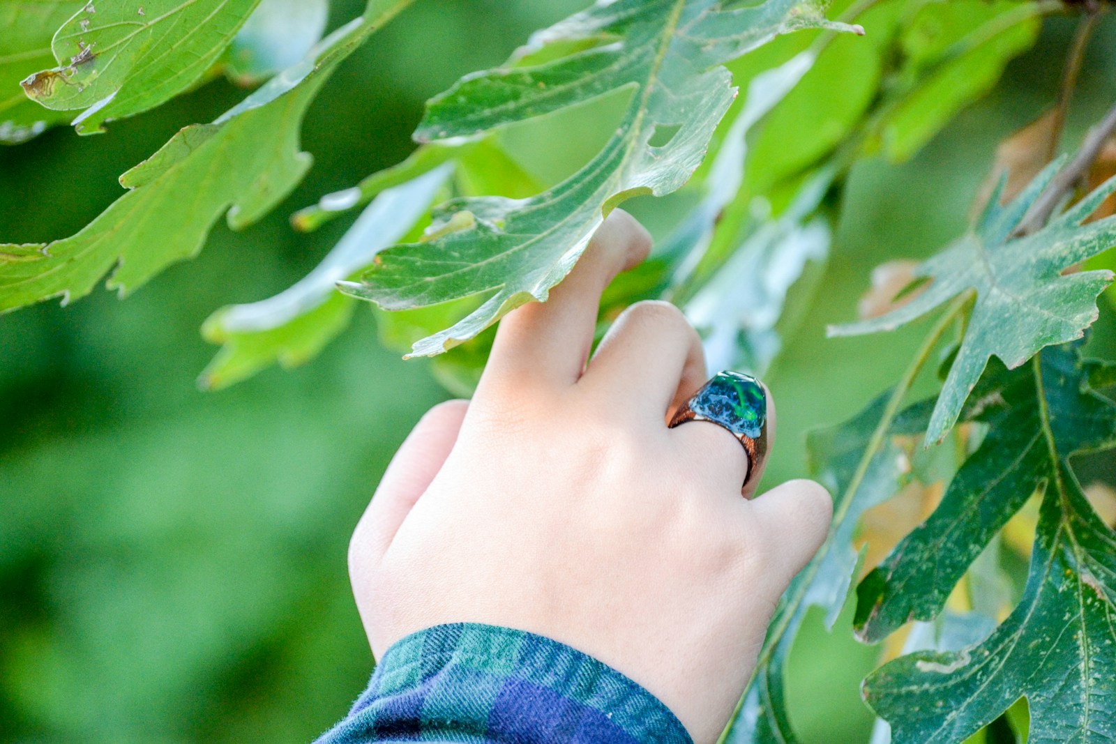 person holding green-leafed plant