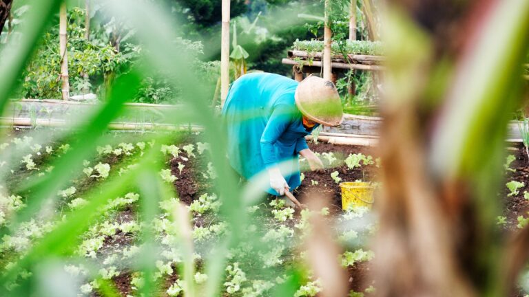 woman wearing hat in garden