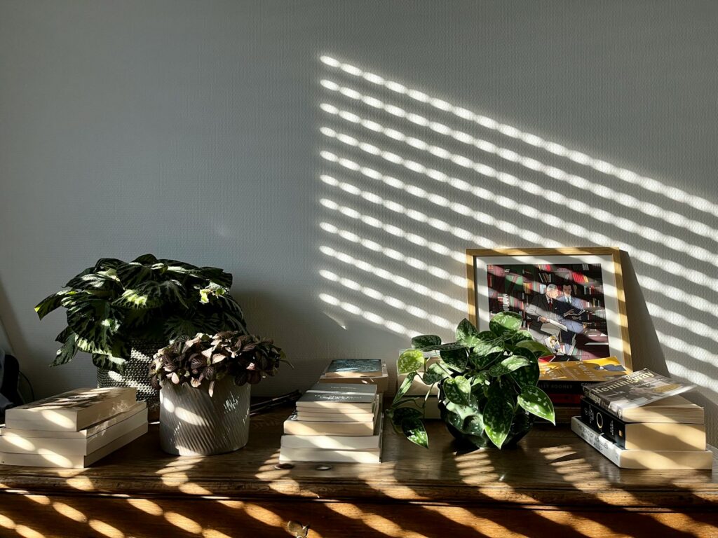 a wooden table topped with books and a potted plant