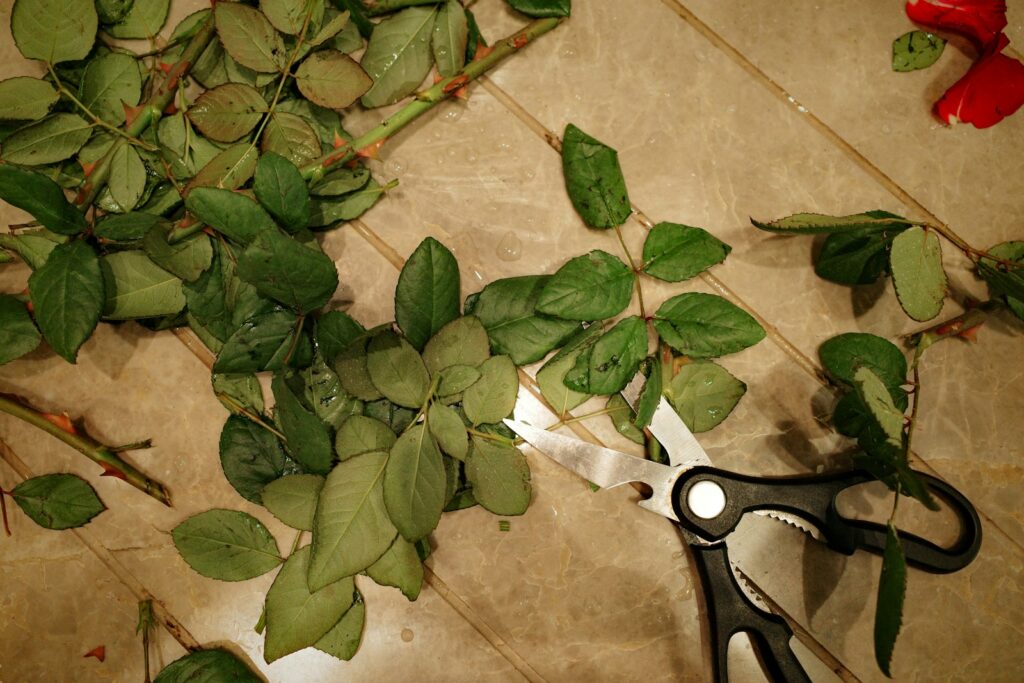 A pair of scissors sitting on top of a table