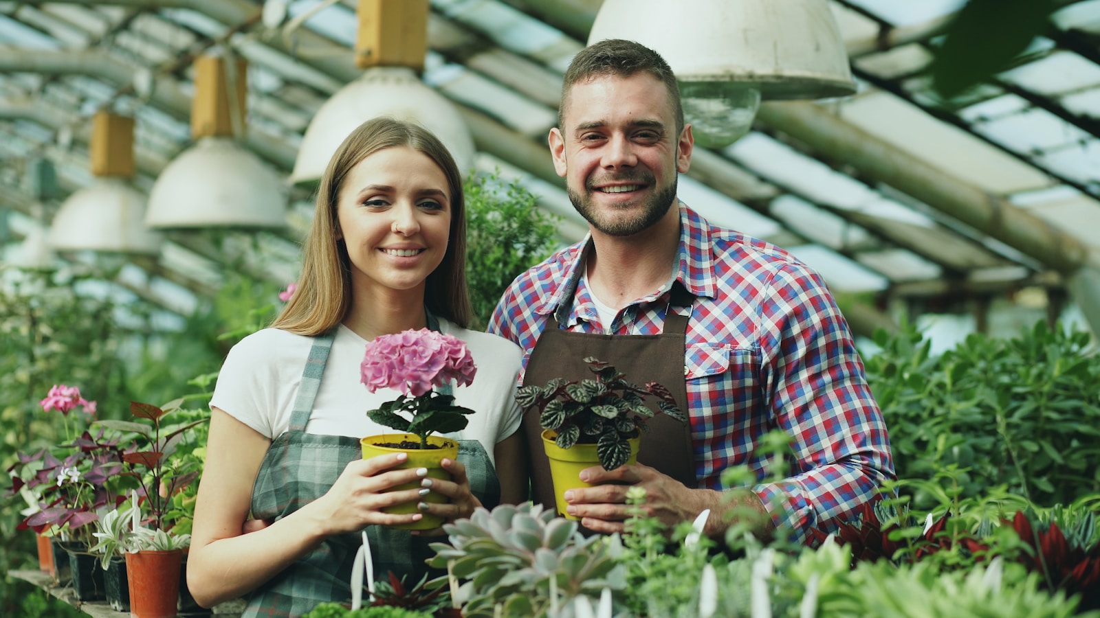 Couple holding potted plants in a greenhouse.
