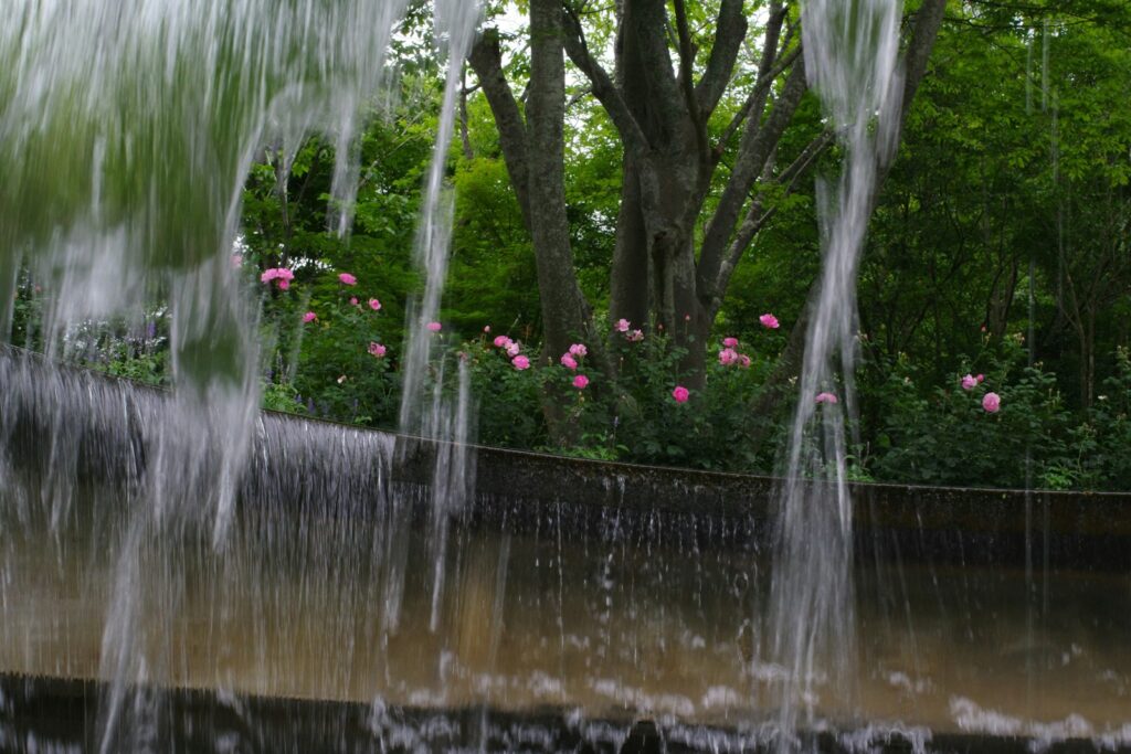 A group of water spewing out of a pond