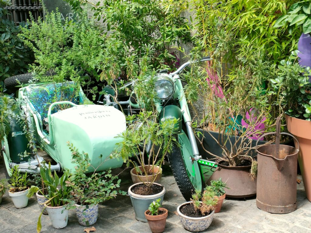 a motor scooter is surrounded by potted plants