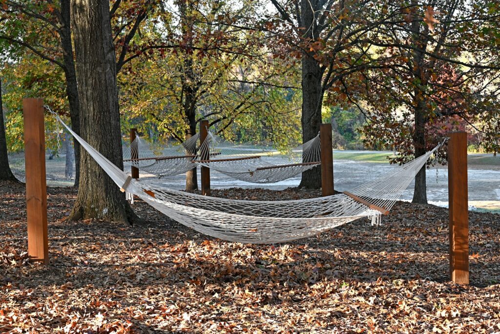 Hammock strung between trees in a park