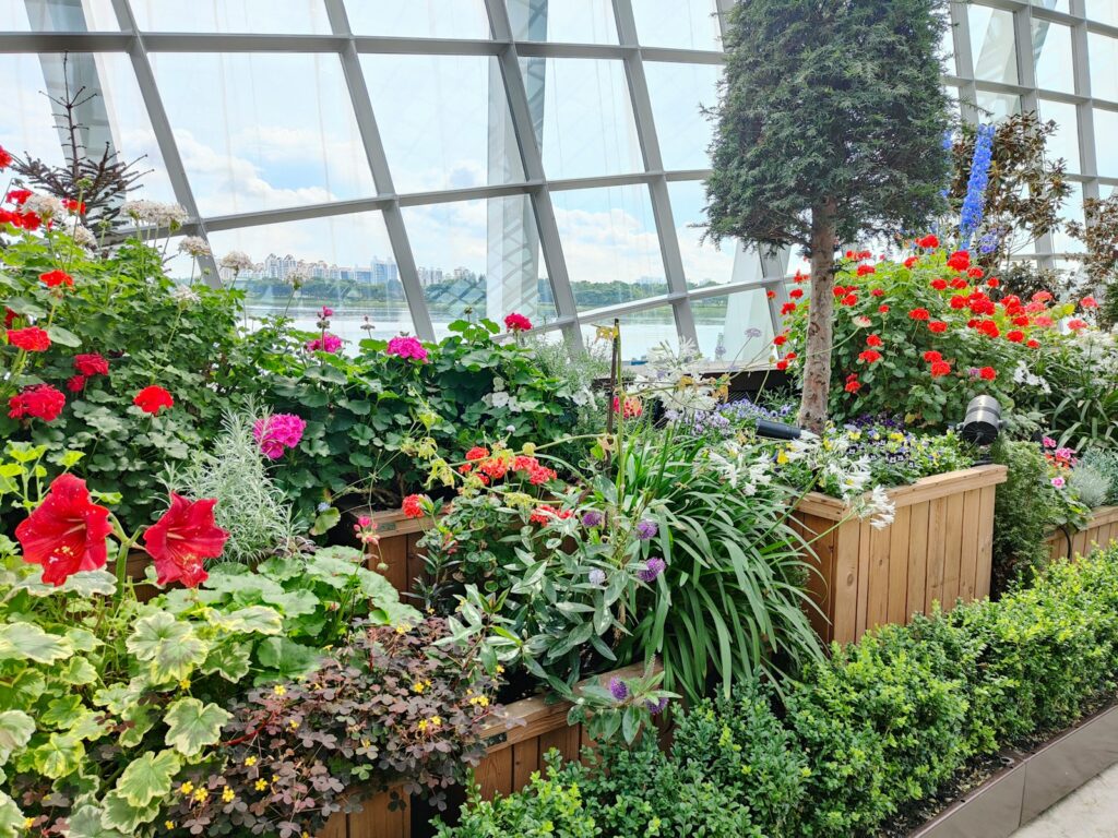 a garden filled with lots of different types of flowers