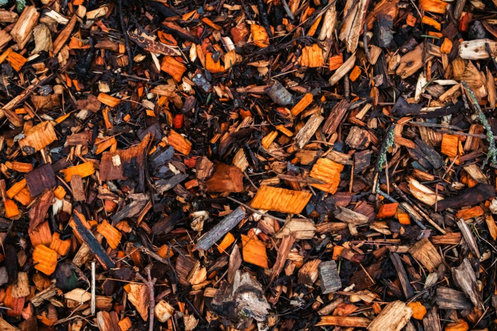 Wood chips form a textured ground cover.