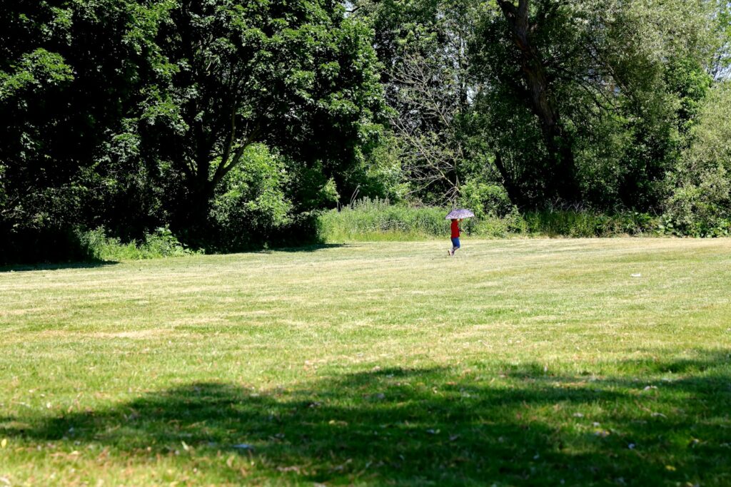 person in red shirt walking on green grass field during daytime
