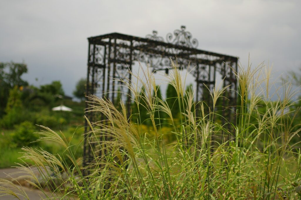 A run down building sitting in the middle of a lush green field
