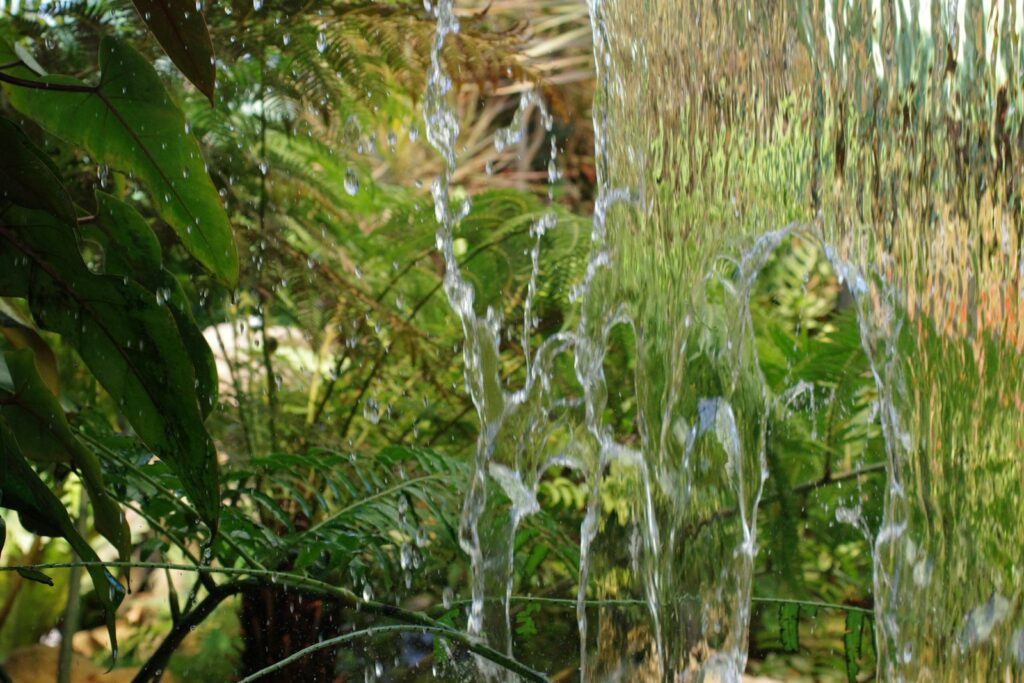 A bunch of water spewing out of a fountain