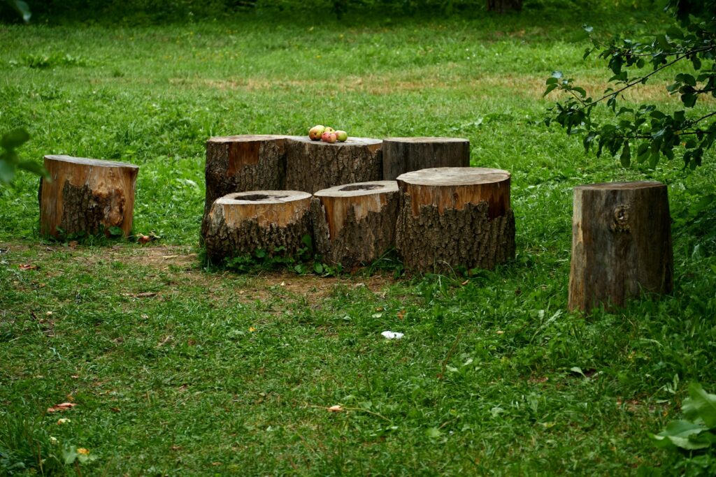a group of stumps in a grassy area