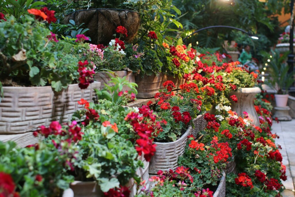 A bunch of potted plants that are on a shelf