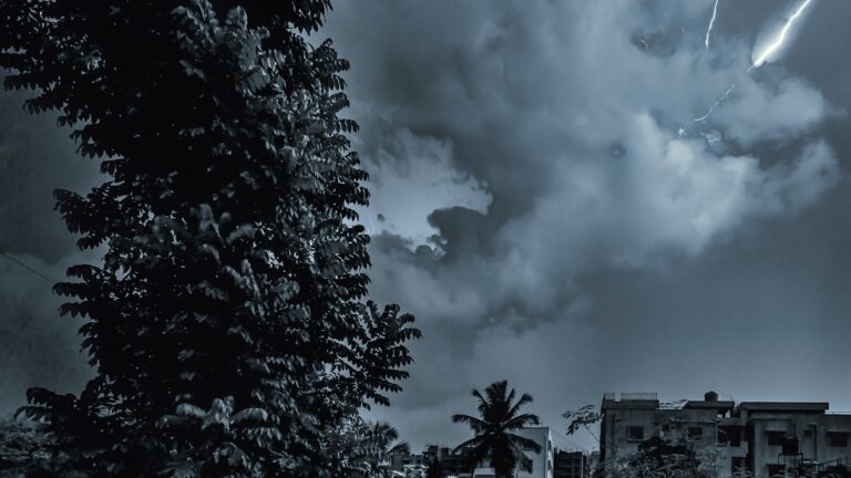 green trees under cloudy sky during daytime