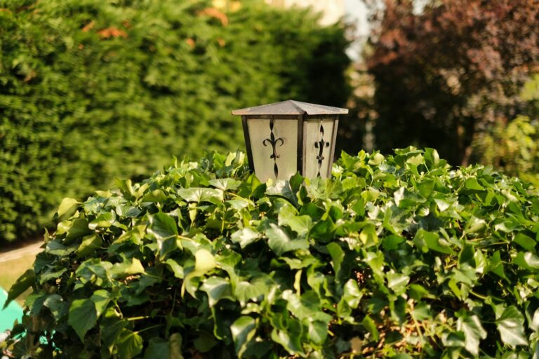 a lamp is sitting on top of a bush