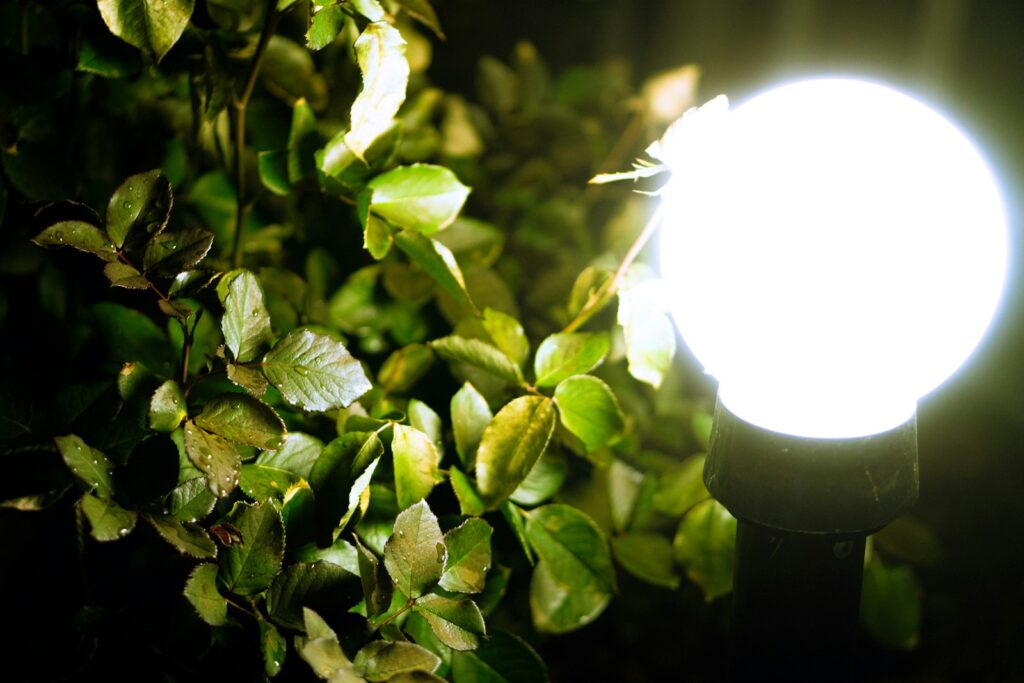 A bright light illuminates green leaves at night.