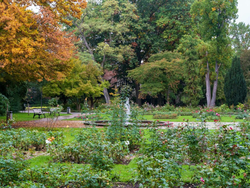 Autumn garden with colorful trees and a fountain.