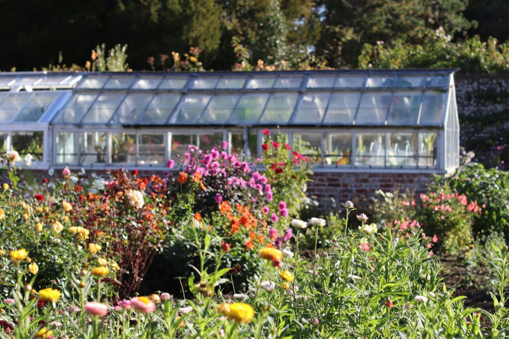 Greenhouse with colorful flowers in foreground.