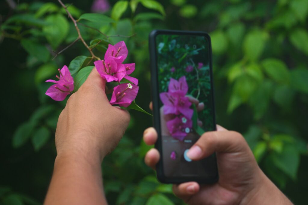a person holding a cell phone