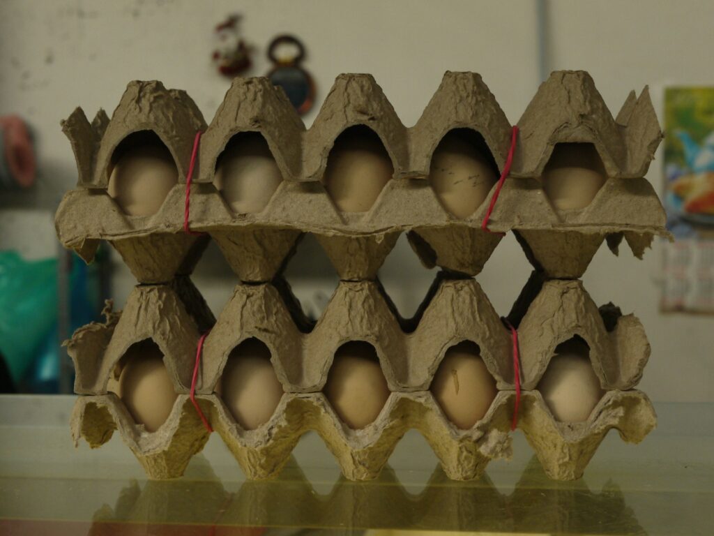Cardboard egg carton with eggs and rubber bands.