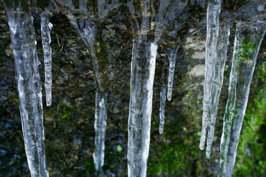 A bunch of icicles hanging from a tree