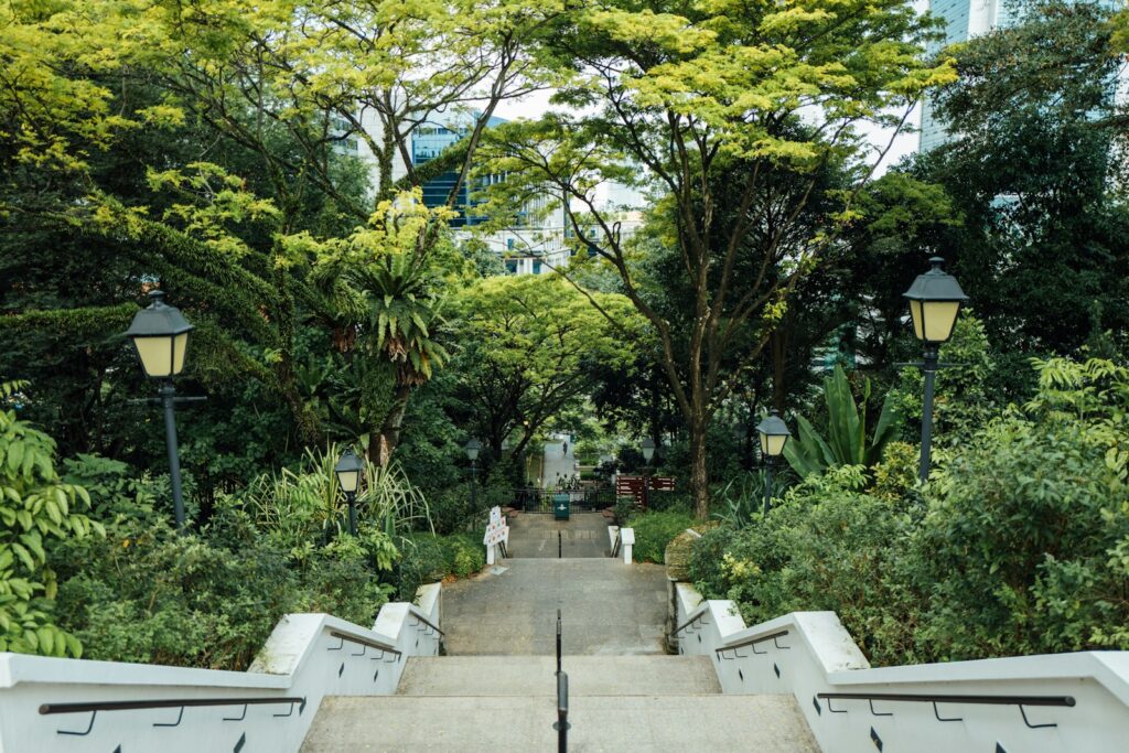 green trees near white concrete bench during daytime