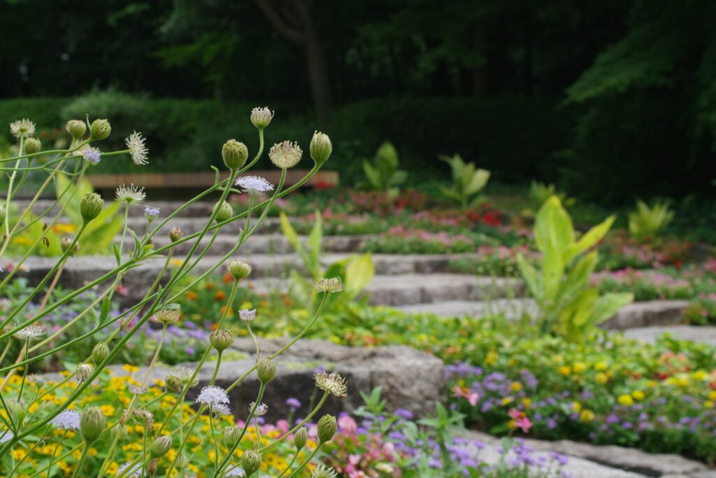 A garden filled with lots of different types of flowers